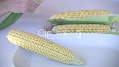Female hands peeling corncobs