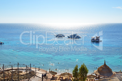 sharm el sheikh, egypt -  december 1: snorkeling tourists and mo