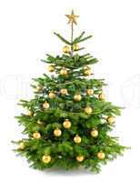 dichter, gold geschmückter weihnachtsbaum
