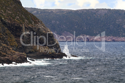 typical newfoundland coast line