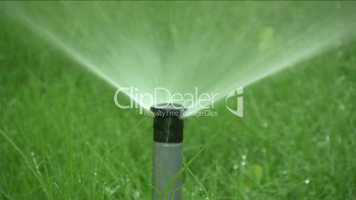 grass sprinkler watering