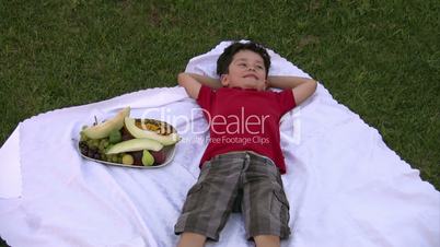 little boy eating fruit at picnic outdoors