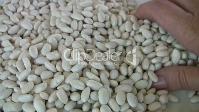 White Lima  beans