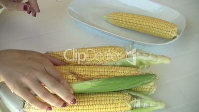 female hands peeling corncobs