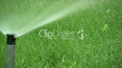 grass sprinkler watering