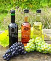wine bottles and wine grapes