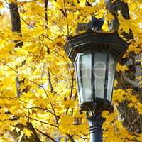 lantern in autumn
