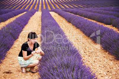 woman while picking lavender