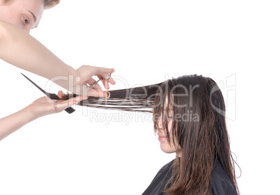 young woman having a hair cut