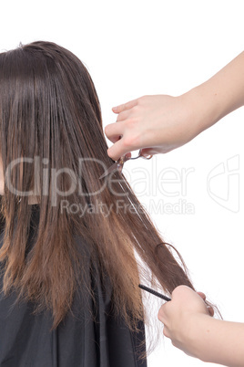 young woman having a hair cut