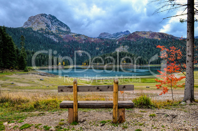 emty bench, red tree and lake