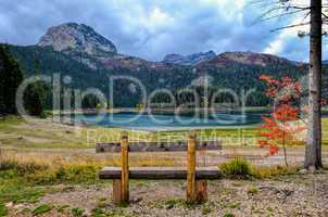 emty bench, red tree and lake