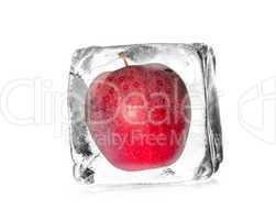 Apfel im Eiswürfel