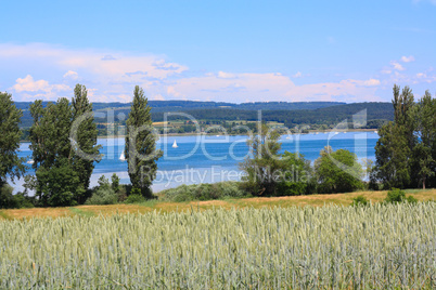 Landschaft mit Feldern und Bäumen und Blick auf den Bodensee