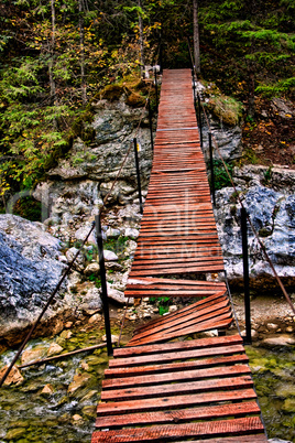 broken bridge