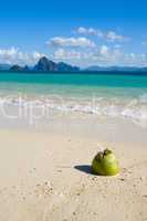 coconut drink on tropical beach