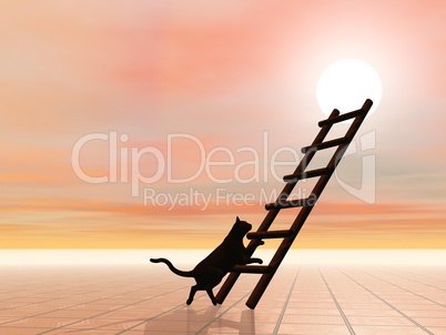 ladder and cat - 3d render