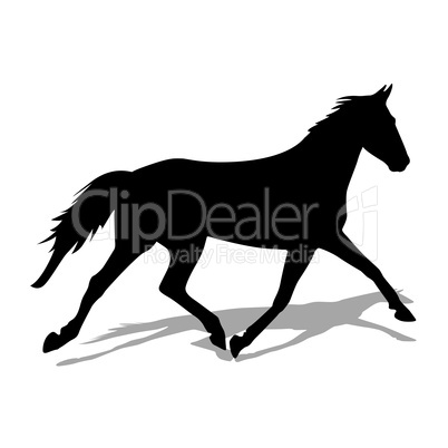 vector silhouette of horse