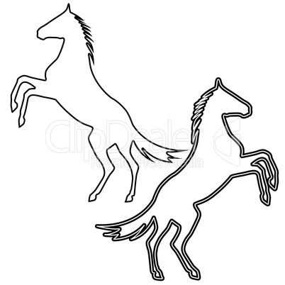 rearing up horse  vector silhouette