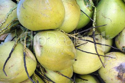 bunch of coconuts