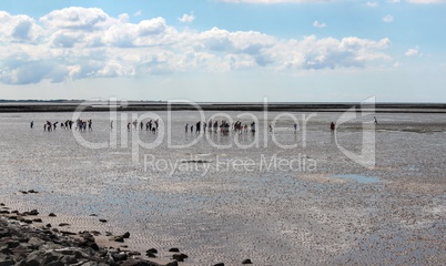 wattwanderung an der nordsee