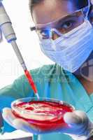 asian female laboratory scientist using pipette blood sample
