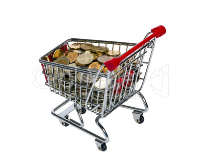 shopping cart with money