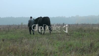 Mann mit Pferd auf Feld