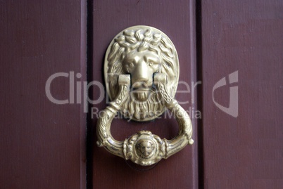 Old brass knocker on wooden door