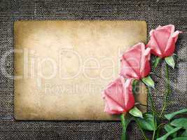 card for invitation or congratulation with pink rose