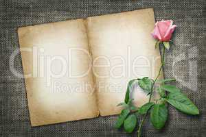 card for invitation or congratulation with yellow rose