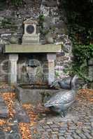 der gänsebrunnen in schwalenberg