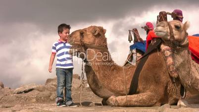 Child touching a camel and smiling at the camera