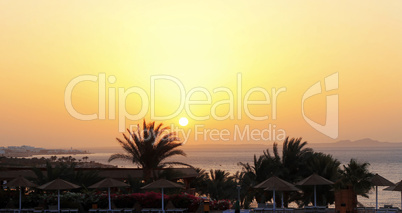 sunrise from the red sea and tropical landscape