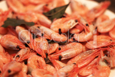 a boiled shrimps background ready for eating