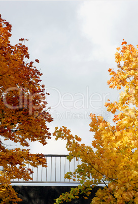 Brückengeländer im Herbst