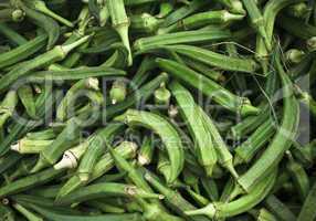 okra in abundance