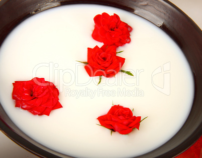 Small red roses in the milk in a bowl