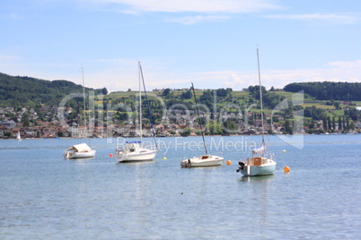 landschaft mit feldern und bäumen und blick auf den bodensee