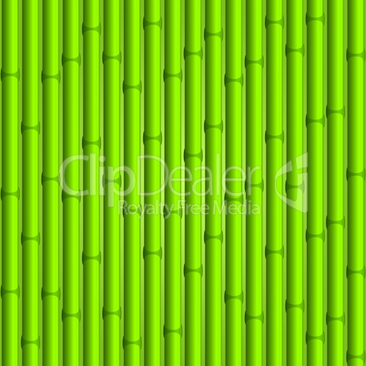 bamboo background