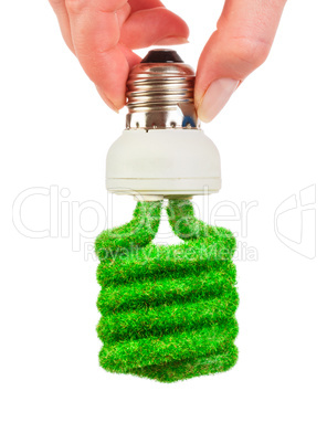 concept eco light bulb