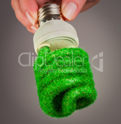 concept eco light bulb