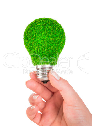 concept eco light bulb