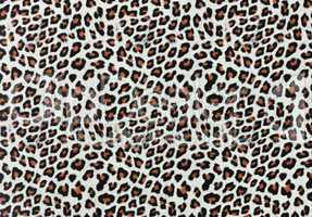 leopard spots background