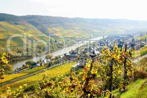 reil an der mosel