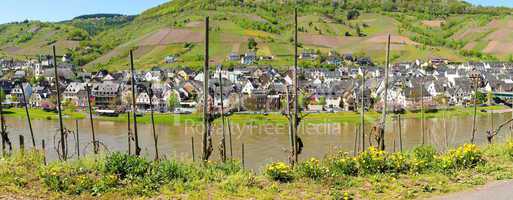 panorama reil an der mosel..