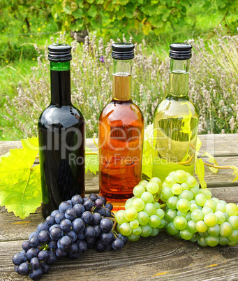 Wine bottles and wine grapes