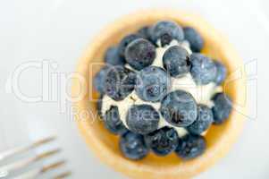 blueberry cream cupcake