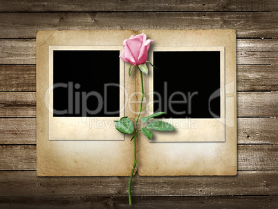polaroid-style photo on the wooden background with pink  rose