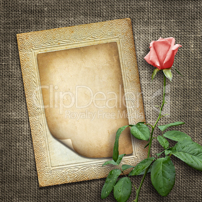 card for invitation or congratulation with pink rose